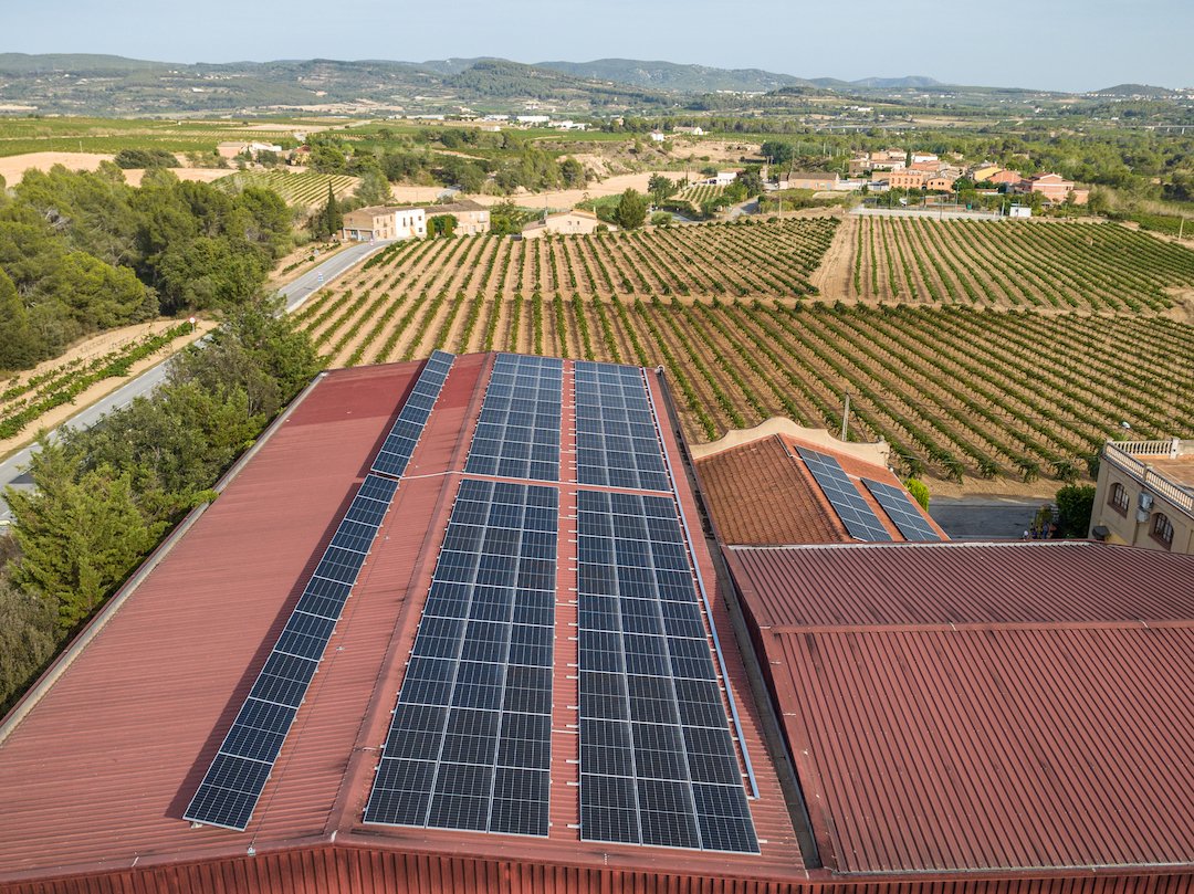 Instalación fotovoltaica junto a viñedos